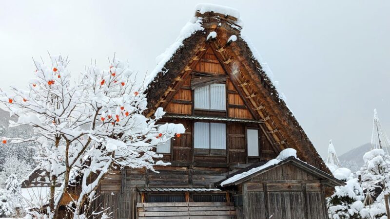 From Takayama: Guided Day Trip to Takayama and Shirakawa-go - A Detailed Look at the Takayama and Shirakawa-go Day Trip