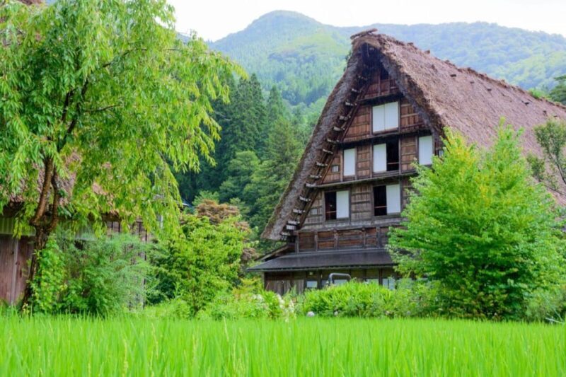 From Takayama: Guided Day Trip to Takayama and Shirakawa-go - Who Will Love This Tour?