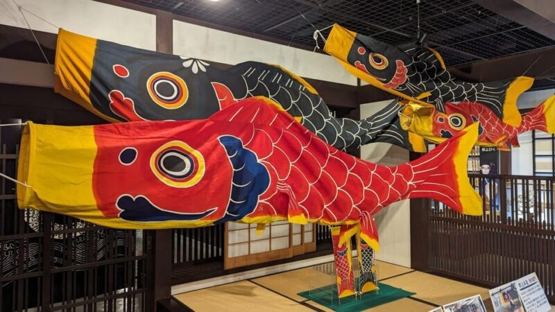 From Takayama: Gujo Hachiman -History, Traditions and Crafts - Who Should Consider This Tour?