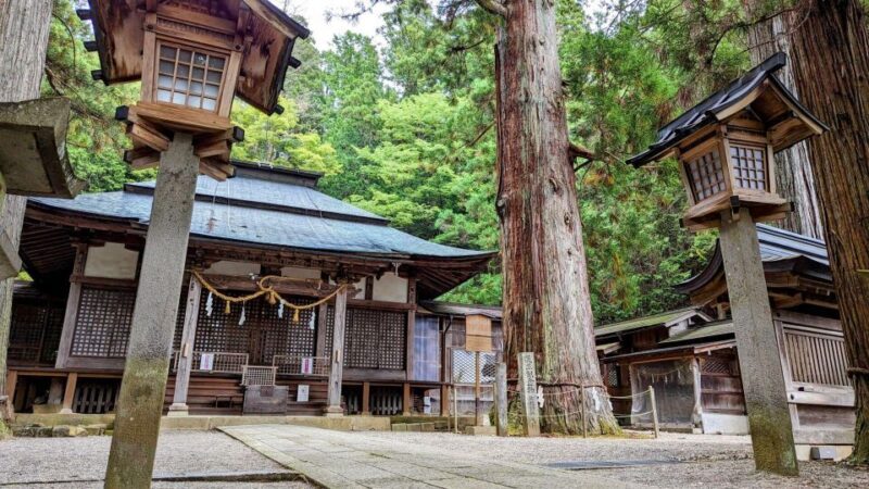 From Takayama: Immerse in Takayama's Rich History and Temple - Who Would Enjoy This Tour?