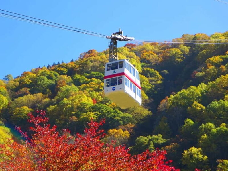 From Takayama: Shinhotaka Ropeway & Kamikochi Private Tour - Why This Tour Offers Great Value