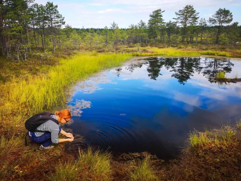From Tallinn: Bog walk and Sauna Tour - Who this tour is best for