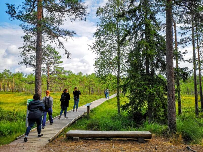 From Tallinn: Bog walk and Sauna Tour - FAQs