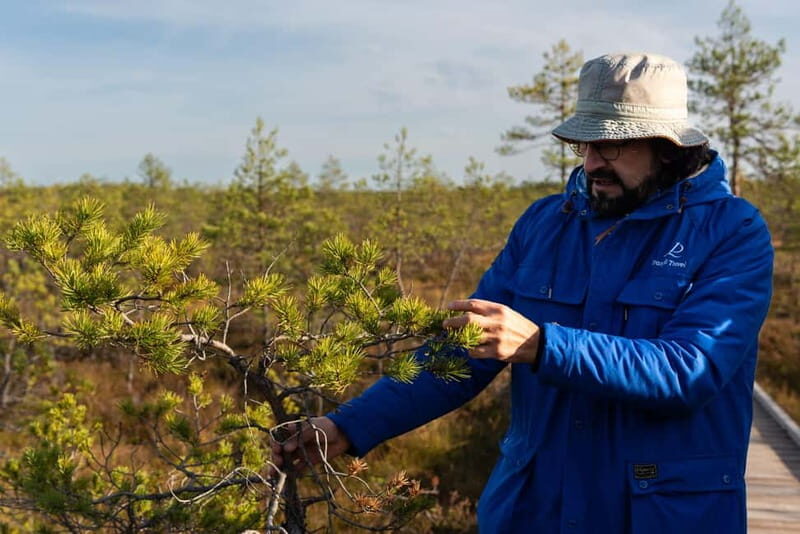 From Tallinn: Day Trip to Lahemaa National Park - The Seasonal Impact: Why Timing Matters