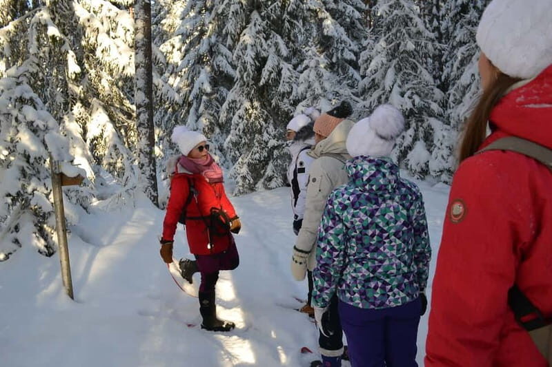 From Tallinn: Guided Bog-Shoe Hiking Tour - Key Points