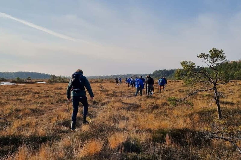 From Tallinn: Guided Bog-Shoe Hiking Tour - Who Should Consider This Tour?