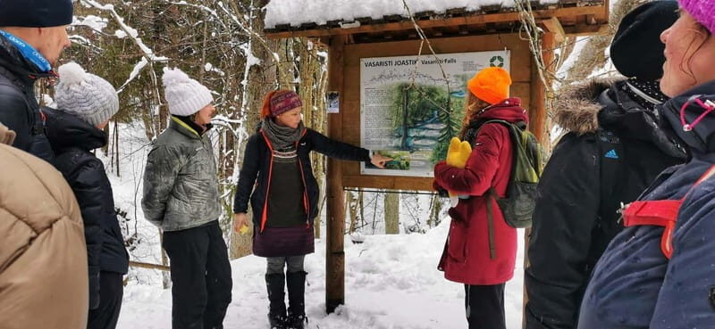 From Tallinn: Lahemaa National Park 3 Waterfall Hike - An In-Depth Look at the Lahemaa Waterfall Hike