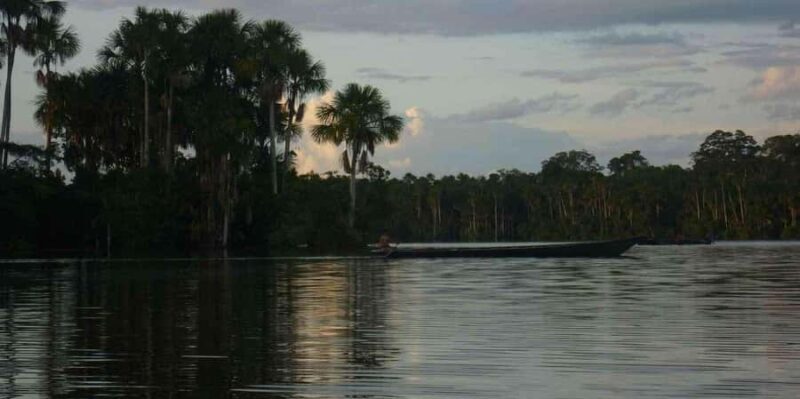 From Tambopata: Amazon Jungle Hike and Lake Sandoval 1-Day - FAQ