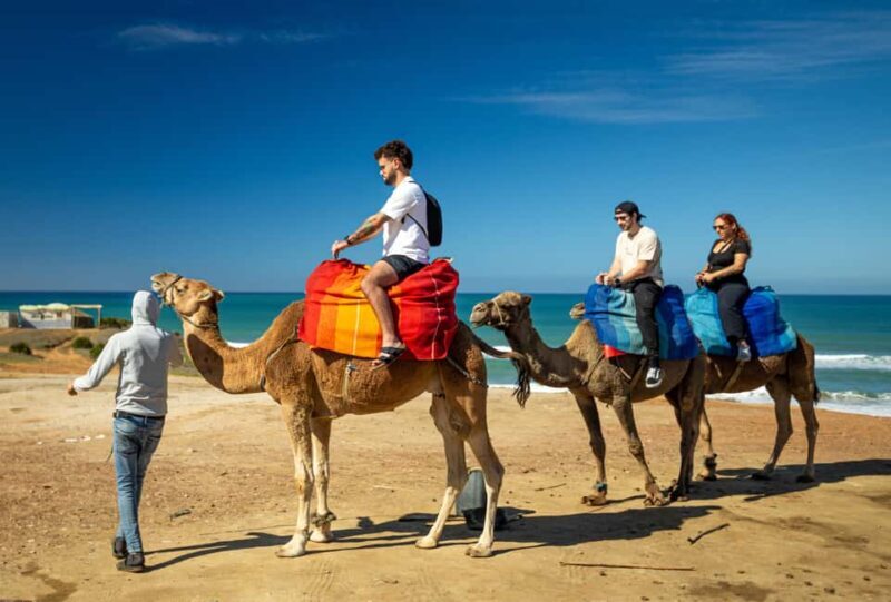 From Tangier: Cap Spartel and Hercules Cave with Camel Ride - What the Tour Includes and What to Expect
