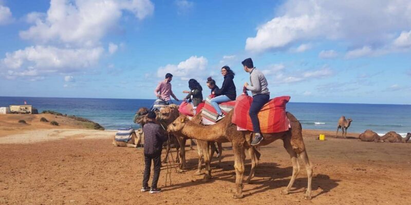 From Tangier: Cap Spartel and Hercules Cave with Camel Ride - Who Should Consider This Tour?