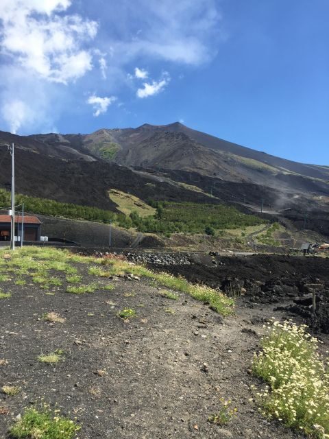 From Taormina: Mount Etna tour to 1900 Mt - Final Thoughts: Who Will Love This Tour?