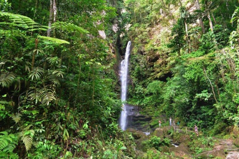 From Tarapoto: Ahuashiyacu Waterfall Half Day Tour - An Authentic Jungle Escape Near Tarapoto