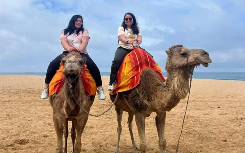 From Tarifa: 2 days 1 night To Chefchaouen all inclusive - A Detailed Look at the Experience