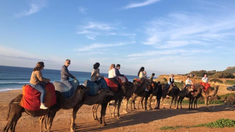 From Tarifa: Tangier full day Trip with guide - Key Points