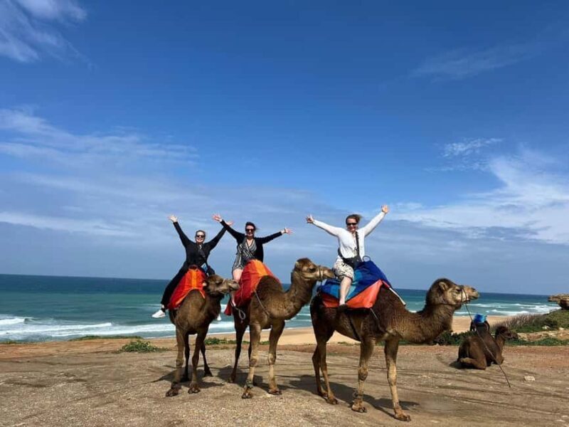From Tarifa : Tangier tours with ticket and Moroccan food - Sampling Moroccan Cuisine: A Culinary Journey