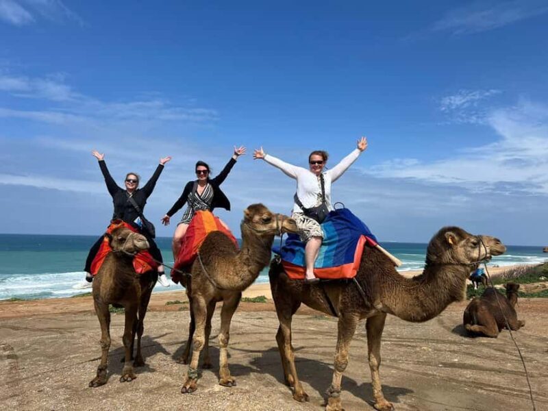 From Tarifa : Tangier tours with ticket and Moroccan food - Who Will Love This Tour?