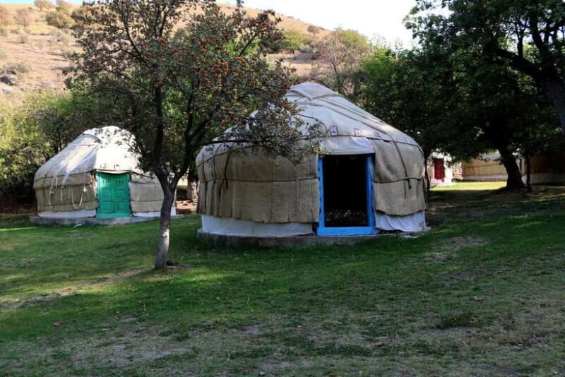 From Tashkent: 11-Day Uzbekistan Hiking Tour - What’s Included and What to Consider