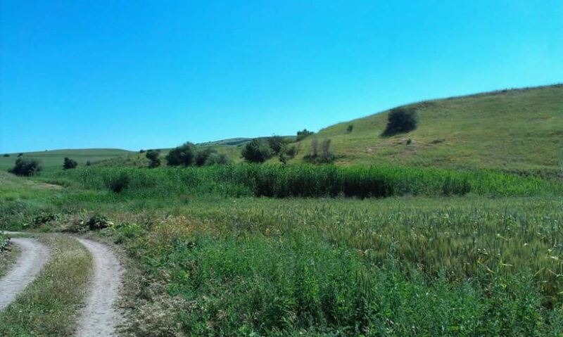 From Tashkent: Chimgan Valley Hiking Day Trip - The Practicalities: What to Expect and How to Prepare