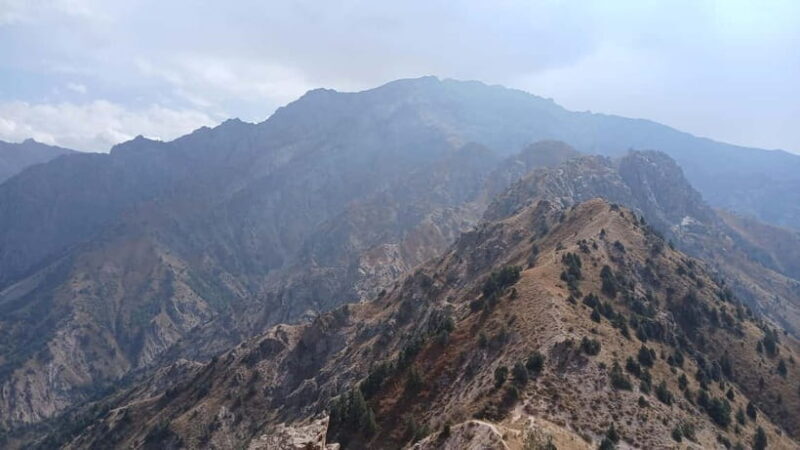 From Tashkent: Small Chimgan Peak Hiking Day Trip - Who Will Love This Experience?