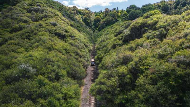 From Taumarunui: The Republic Rail Cart Adventure - A Scenic Ride through the Forgotten World