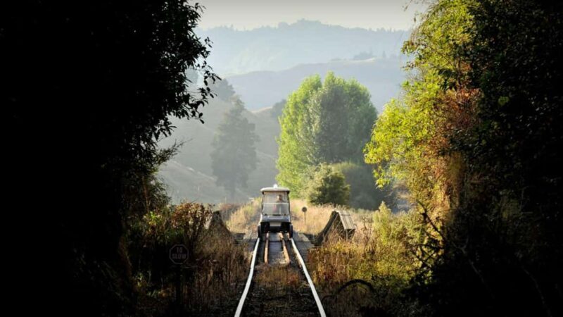 From Taumarunui: The Republic Rail Cart Adventure - Final Thoughts