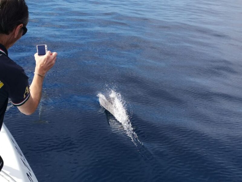 From Tazacorte: Discover the Northwest Coast by Speedy Yacht - Who Will Love This Tour?