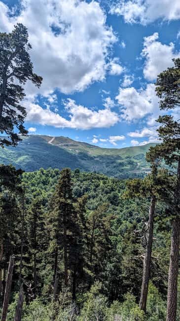 From Tbilisi: Bakuriani 1-Day Eco Tour by Electric Car - Exploring Georgia’s Natural Beauty in Silence