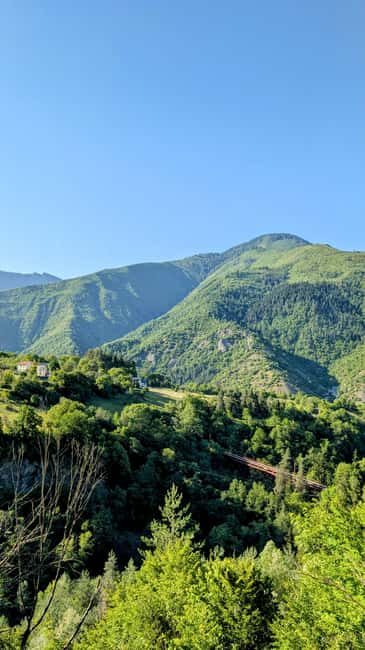From Tbilisi: Bakuriani 1-Day Eco Tour by Electric Car - Who Is This Tour Best For?