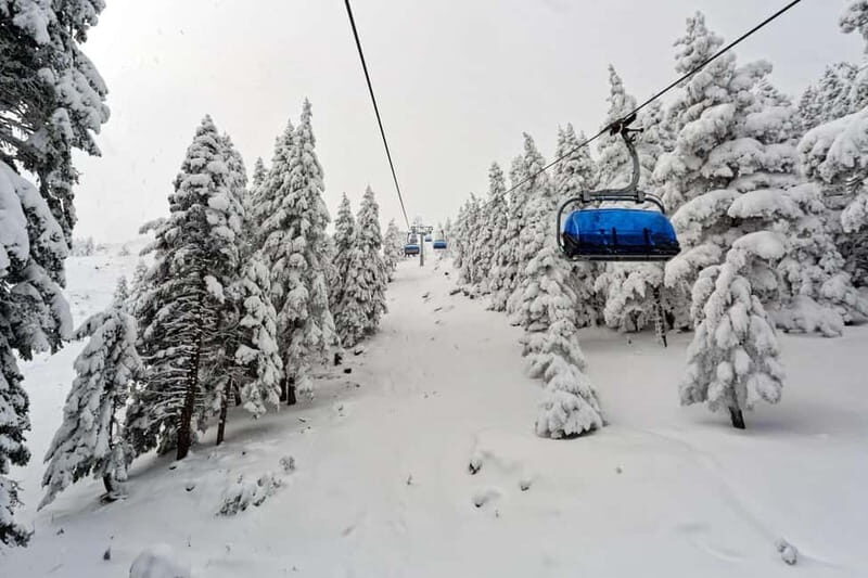 From Tbilisi: Borjomi and Bakuriani Ski Resort Private Tour - Exploring Georgia’s Scenic Heart: Borjomi and Bakuriani