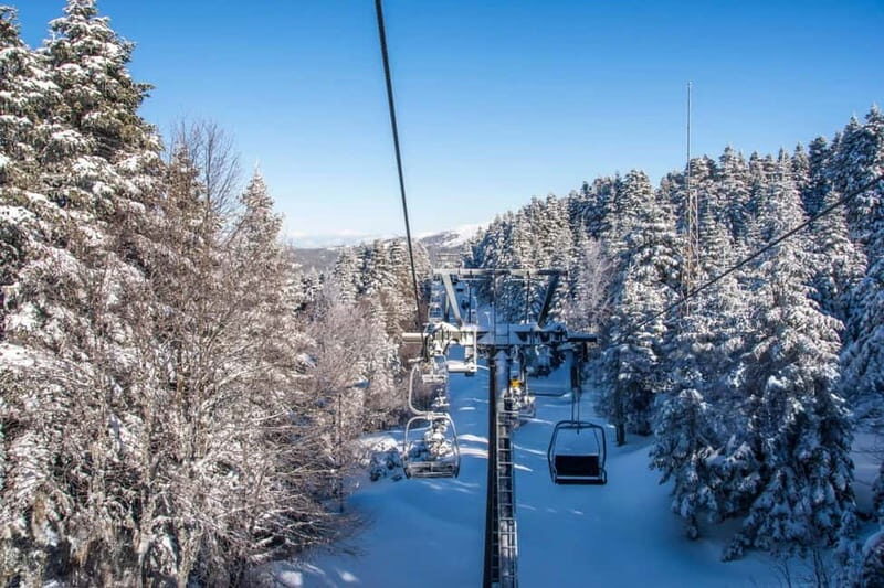 From Tbilisi: Borjomi and Bakuriani Ski Resort Private Tour - Authentic Experiences and Authentic Value