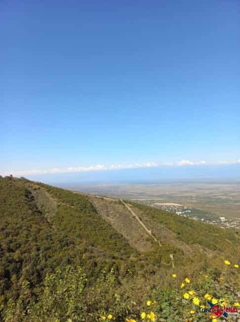 From Tbilisi: Kakheti Day Trip with Wine Tasting - Deep Dive into the Details