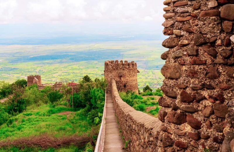 From Tbilisi: Kakheti Wine Region Tour with 9 Wine Tastings - FAQ