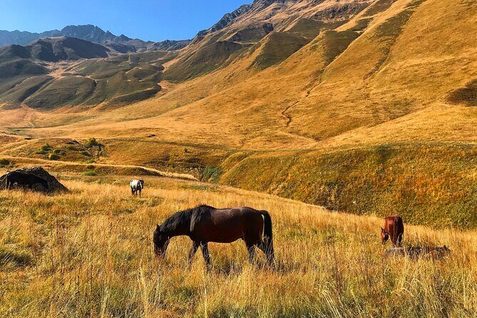From Tbilisi: Kazbegi Ananuri Gudauri and Trusso Valley by 4x4 - Key Points