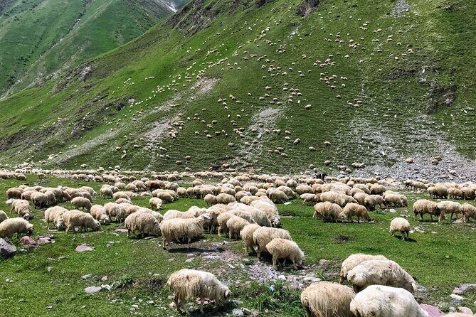 From Tbilisi: Kazbegi Ananuri Gudauri and Trusso Valley by 4x4 - Who Should Consider This Tour?