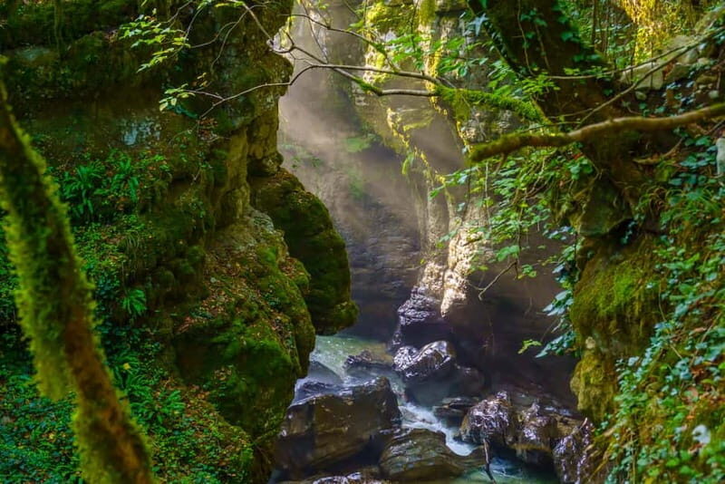 From Tbilisi: Kutaisi Canyons and Caves Full Day Tour - FAQ: Your Practical Questions Answered