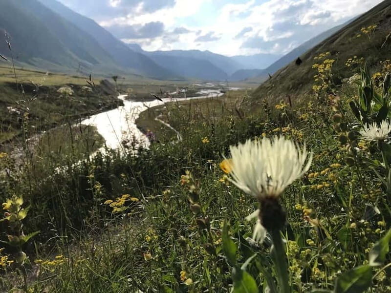 From Tbilisi: Mount Kazbegi Hiking & Sightseeing 2-Day Tour - Who Will Love This Tour?