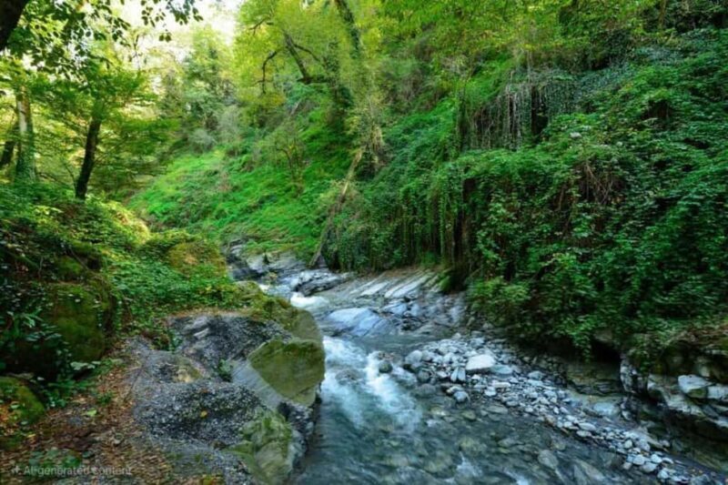 From Tbilisi: Private Ninoskhevi Waterfall Hike in Lagodekhi - Key Points