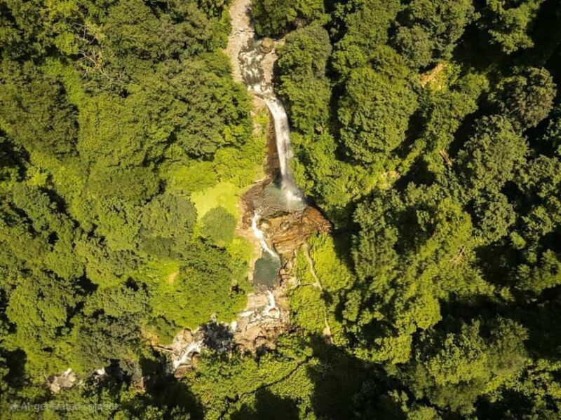 From Tbilisi: Private Ninoskhevi Waterfall Hike in Lagodekhi - Evaluating the Value
