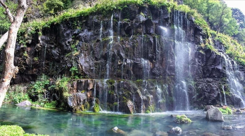 From Tbilisi to Dashbashi Canyon and the Diamond Bridge - Who Will Love This Tour?