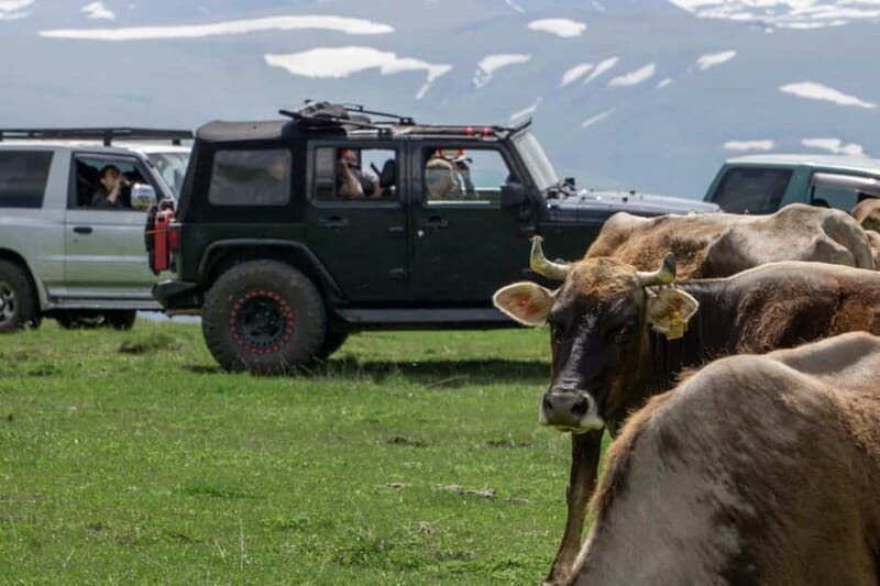 From Tbilisi: Tsalka Hills Off-Road Jeep Tour with BBQ - FAQ