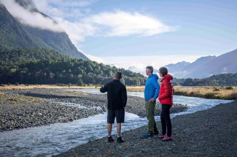 From Te Anau: Milford Sound Coach, Cruise, and Walks - From Te Anau: Milford Sound Coach, Cruise, and Walks – A Deep Dive into Fiordland’s Natural Wonders