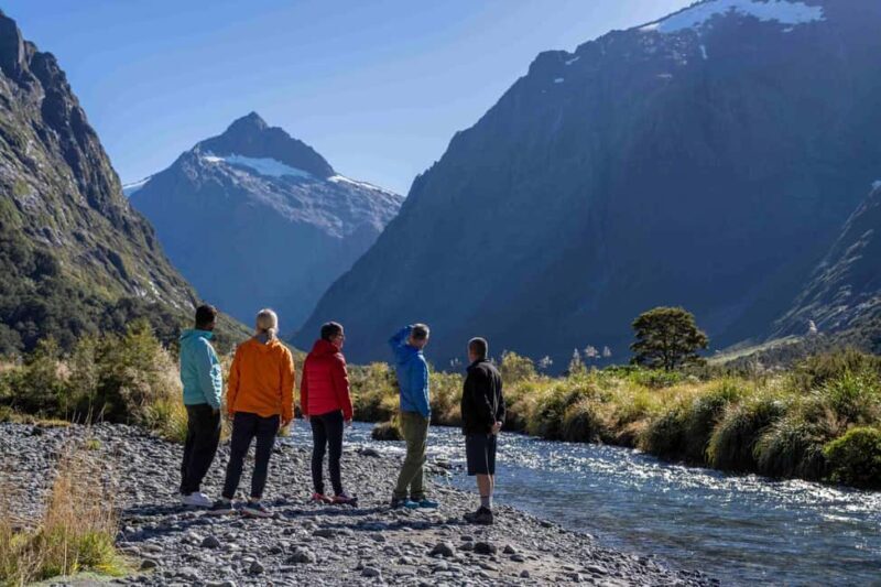 From Te Anau: Milford Sound Coach, Cruise, and Walks - Who Should Consider This Tour?
