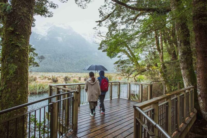 From Te Anau: Milford Sound Coach Tour and Cruise - From Te Anau: Milford Sound Coach Tour and Cruise