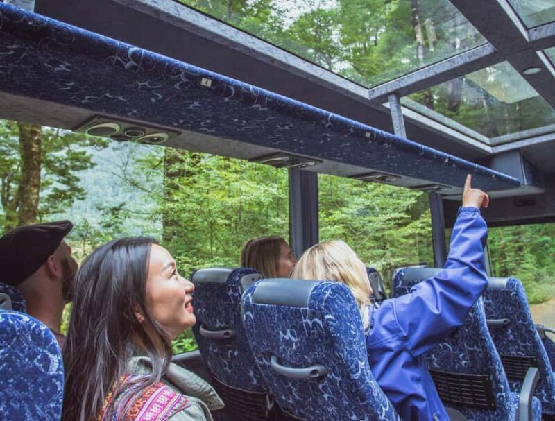 From Te Anau: Milford Sound Coach Tour and Cruise - Key Points
