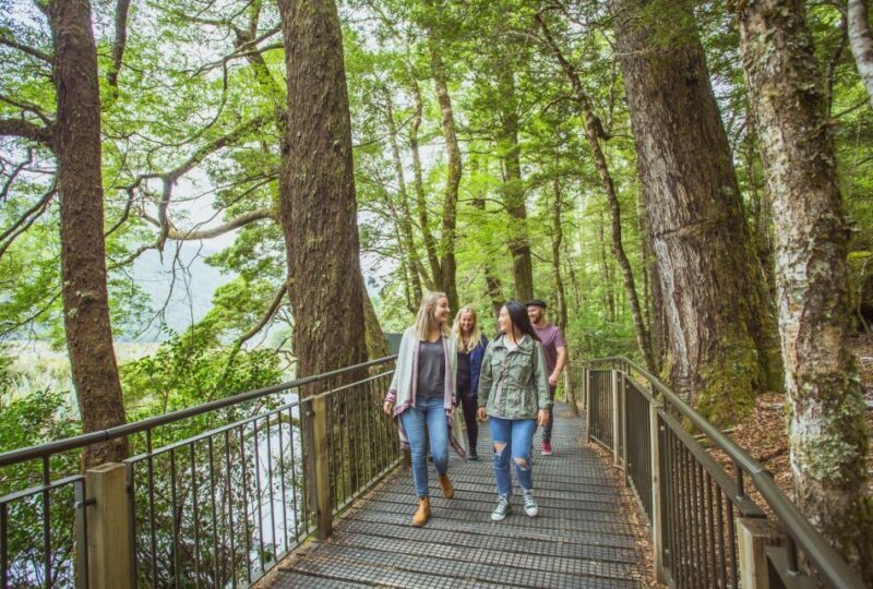 From Te Anau: Milford Sound Coach Tour and Cruise - Practical Details and What to Bring