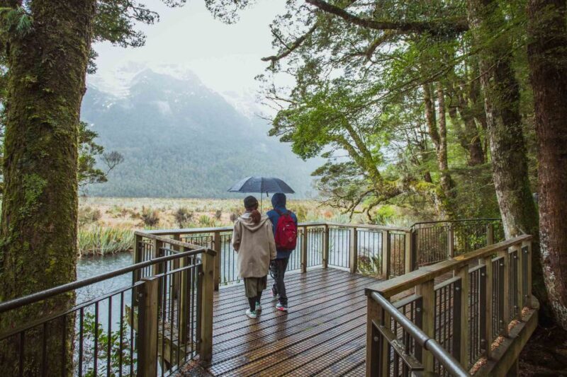 From Te Anau: Milford Sound Coach Tour and Cruise - Final Thoughts