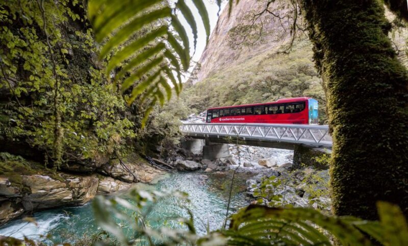 From Te Anau: Milford Sound Premium Bus Tour and Cruise - Wildlife and Nature Highlights