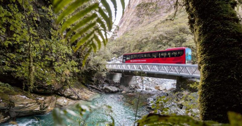 From Te Anau: Milford Sound Premium Bus Tour and Cruise - Food Options and Additional Comforts