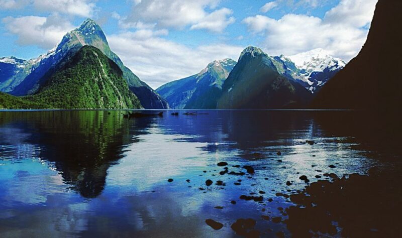 From Te Anau: Milford Sound Tour with Cruise and Lunch - The Sum Up