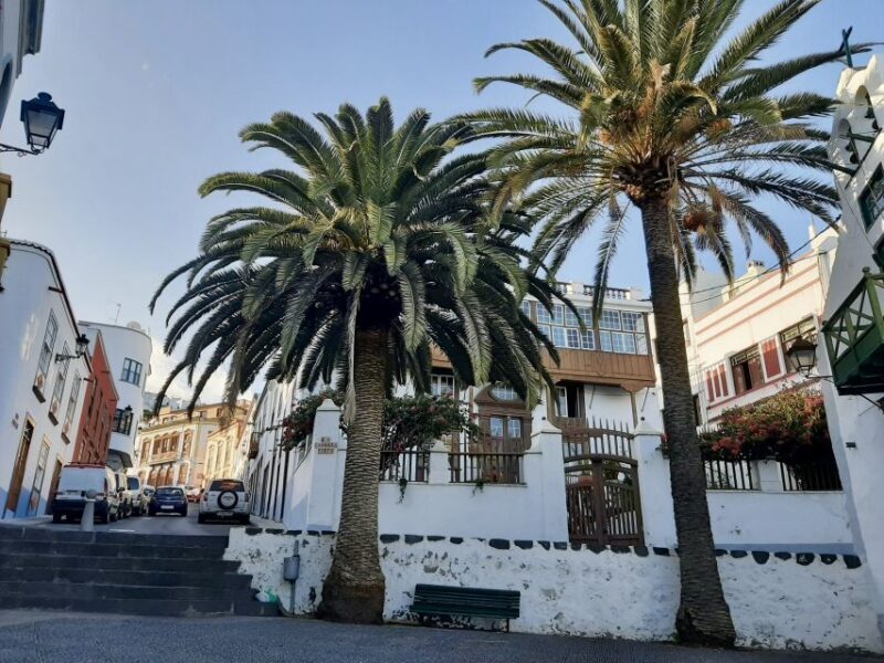 From Tenerife: Day Trip to La Palma Volcanic Landscapes - From Tenerife: Day Trip to La Palma Volcanic Landscapes — A Detailed Review